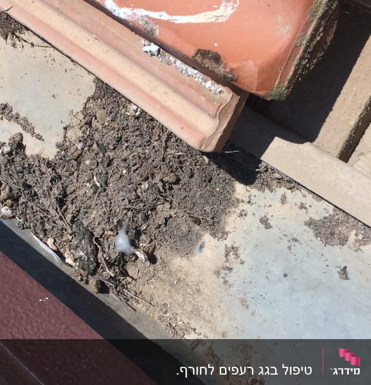 רעפים על גג עם לכלוך ואבק